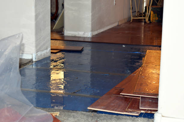 Professional Water Damage technician working in Baltic, CT